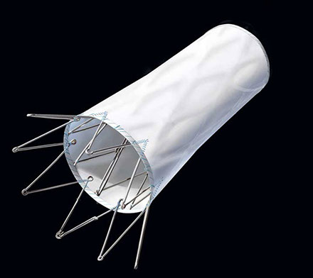 Linda Nye Visualizing Nature