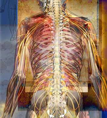 Linda Nye Visualizing Nature