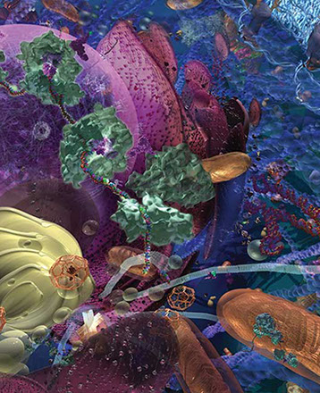 Scale&nbsp; viewer part of the complex molecular machinery human cell&nbsp; interest to the biotechnologygenome, DNA, mRNA, proteins, enzymes, receptors, 