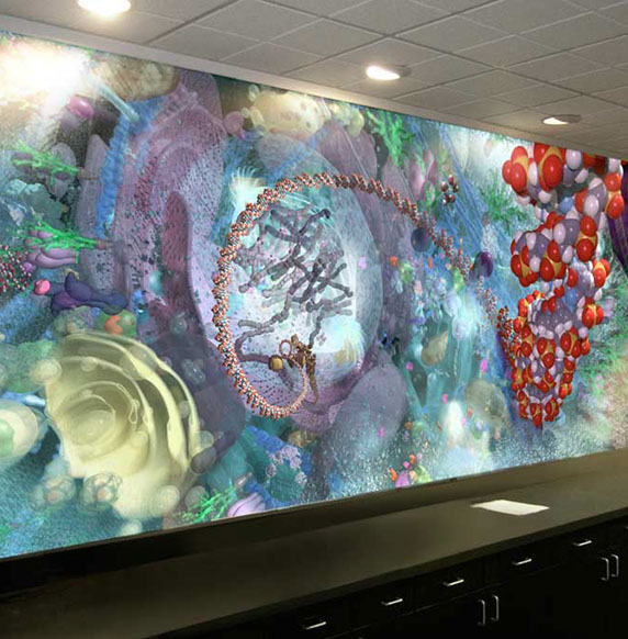 Scale&nbsp; viewer part of the complex molecular machinery human cell&nbsp; interest to the biotechnologygenome, DNA, mRNA, proteins, enzymes, receptors, 