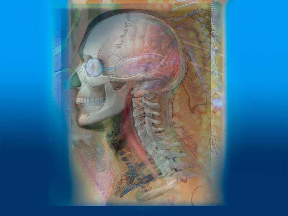 3D illustration, 3D animation, scientific visualization, nature, scientific data, medical, anatomical, device, molecular, surgical