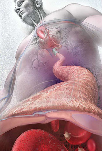 Awarded First Place in the Illustration category of the 2008 National Science Foundation (NSF) and Science’s International Science and Engineeri