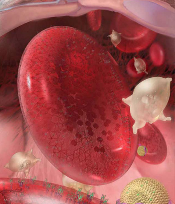 A forced perspective moves smoothly along/between the different scales, with the largest object in the distance and the smallest objects (atoms)
