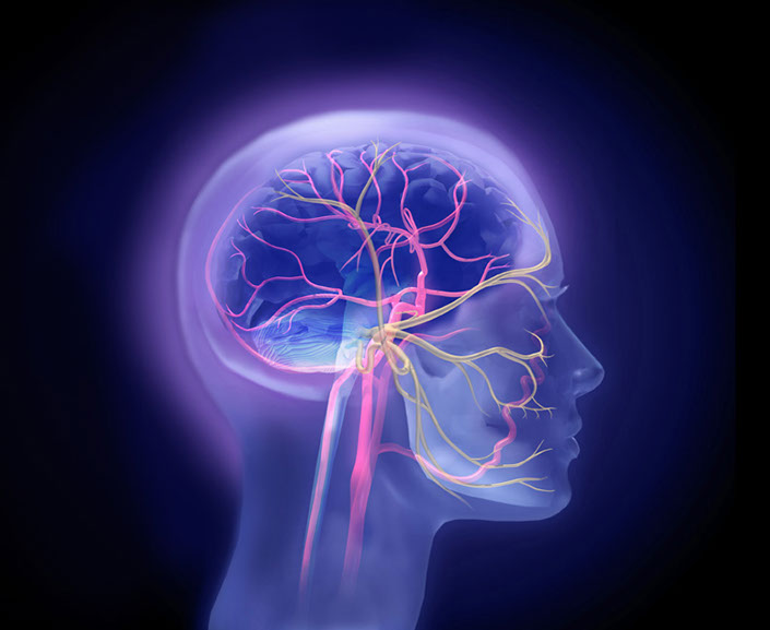 Axert selective serotonin receptor agonists is used to treat the symptoms of migraine headaches. Linda Nye Visualizing Nature