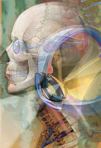 Award at the Association of Medical Illustrators (AMI) and cover of The Journal of Biocommunication