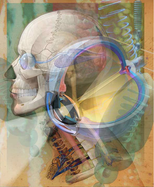 Award at the Association of Medical Illustrators (AMI) and cover of The Journal of Biocommunication