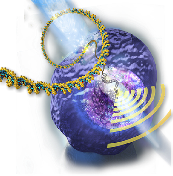 Nanopulses through the cell cell membrane pilling the DNA strand through so it can be analyzed. inda Nye Visualizing Nature