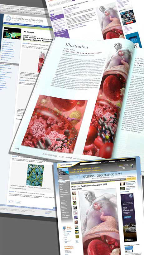 Awarded First Place in the Illustration 2008 National Science Foundation (NSF) and Science’s International Science and Engineeri