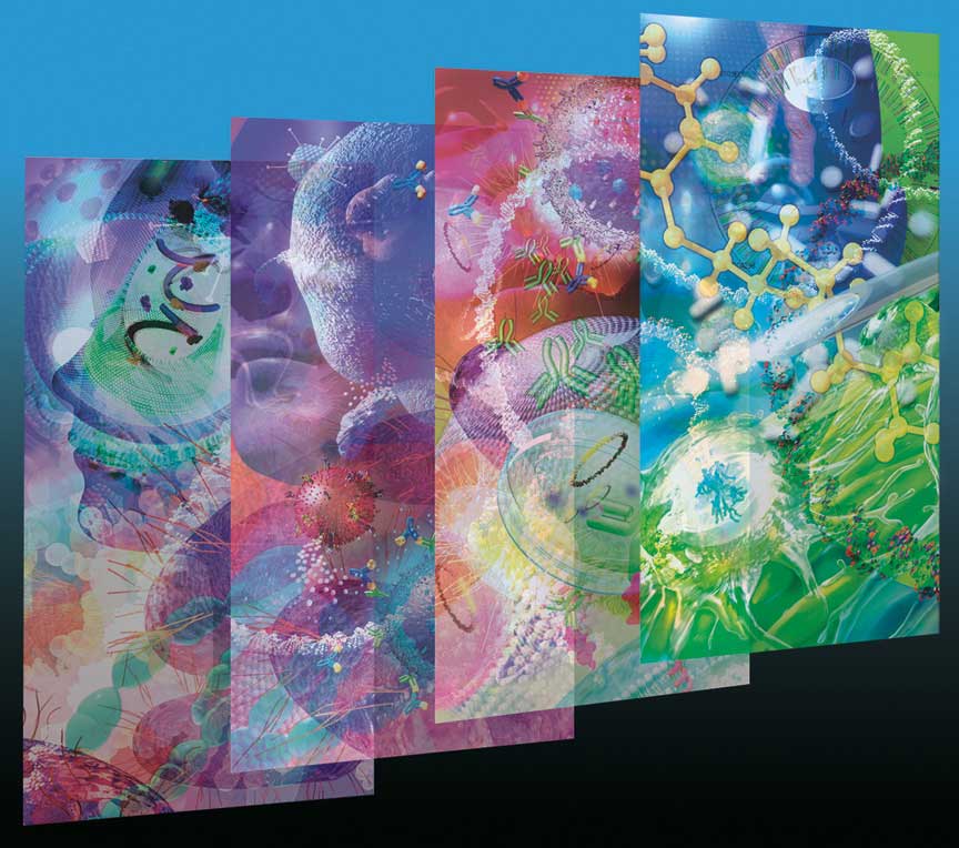 Interior graphic panels for the UCSD Biomedical Library. Linda Nye Visualizing Nature