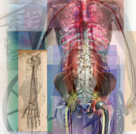 One from series of the "Mind's Eye" for Ingenix Medical Code book cover. Linda Nye Visualizing Nature