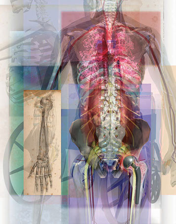 One from series of the "Mind's Eye" for Ingenix Medical Code book cover. Linda Nye Visualizing Nature