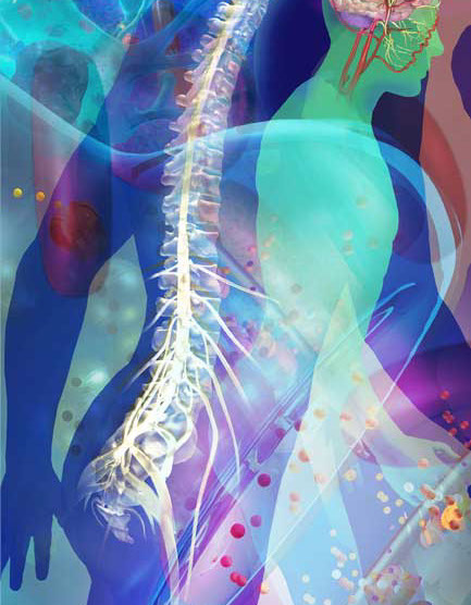 Panel detail from UP/DOWN in the UCSD Biomedical Library