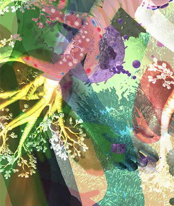 Panel detail from UP/DOWN from the UCSD Biomedical Library. Linda Nye Visualizing Nature