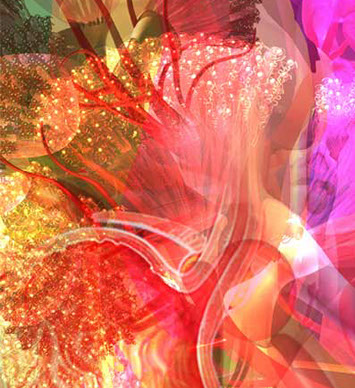 Stomach and Kidney Detail Linda Nye Visualizing Nature