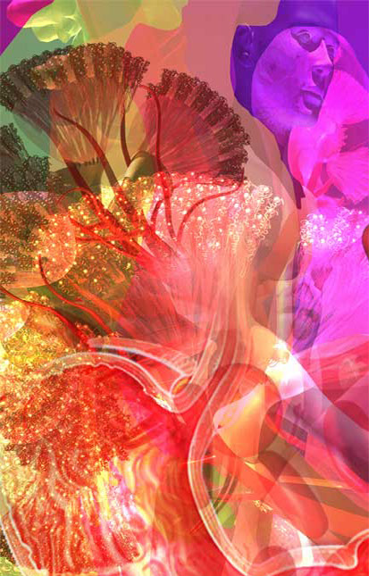 Stomach and Kidney Detail Linda Nye Visualizing Nature