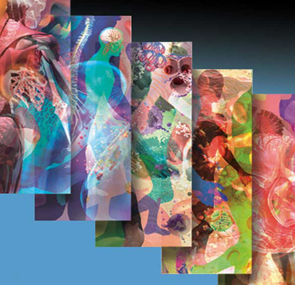 Panels looking at the different body systems: muscles, skeleton, nerves, lungs, blood pumping, organs, and sight, active