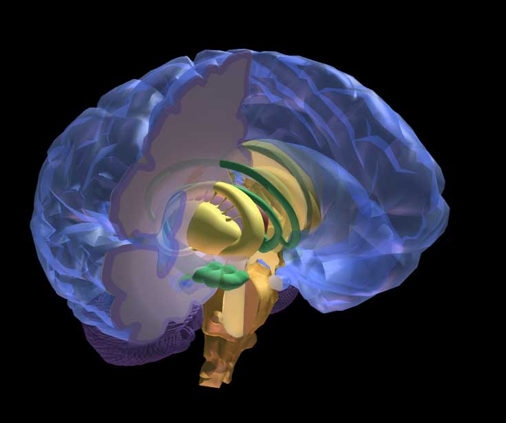 Linda Nye Visualizing Nature