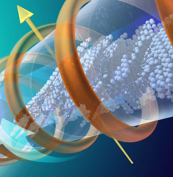 Peptides are incorporate into a silica-based nanoparticle package holding a small amount of an anti-cancer drug. Linda Nye Visualizing Nature