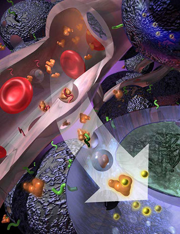 Article on a Nanoparticle albumin-bound technology to deliver anti-caner therapy to cancer cells. Linda Nye Visualizing Nature